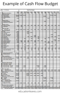 What is Cash Flow Budgeting? A Comprehensive Review (PDF)