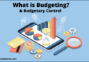 what is budgeting-budgetary -control