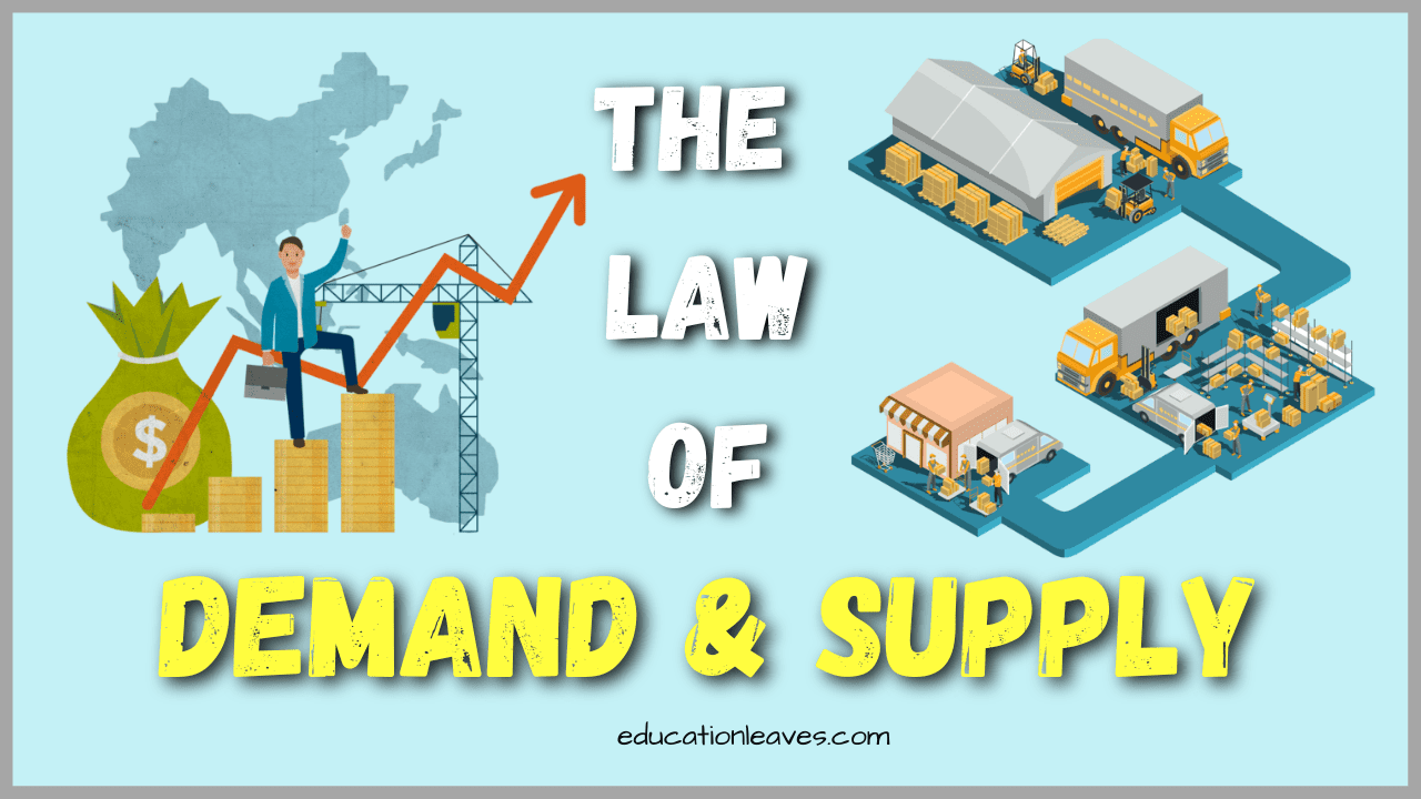Law of Demand and Supply [PDF Included] Curves, Importance, Conditions
