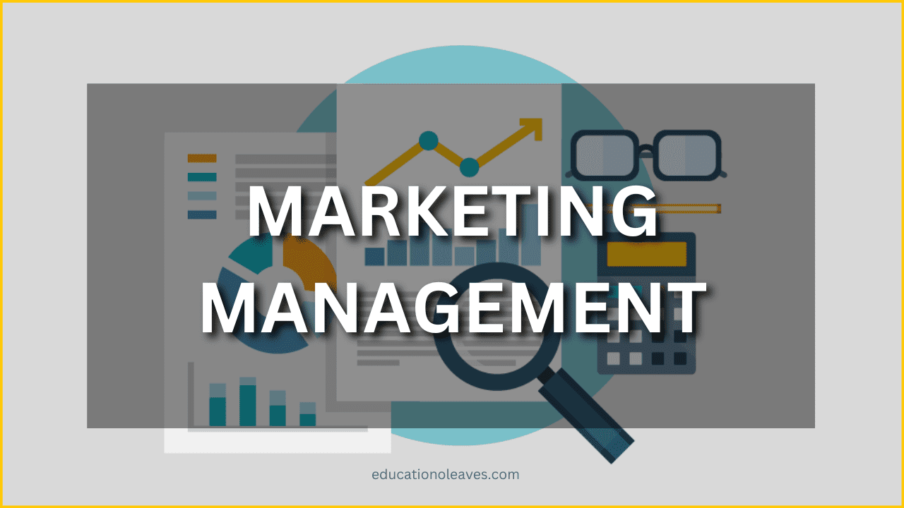 What Is Marketing Management In Small Business