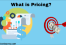 pricing-pricing strategy