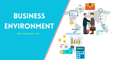 Business Environment article