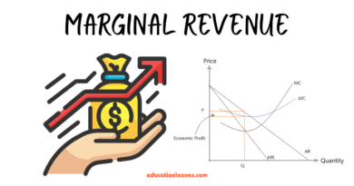 marginal revenue