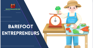 who are the barefoot entrepreneurs?