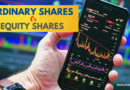 What are the ordinary shares or equity shares?