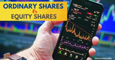 What are the ordinary shares or equity shares?