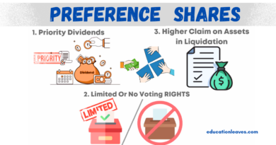 What are the preference shares?