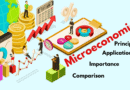 Microeconomics: Principles, Application, Importance, and Comparison