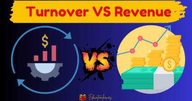 Turnover vs revenue Article