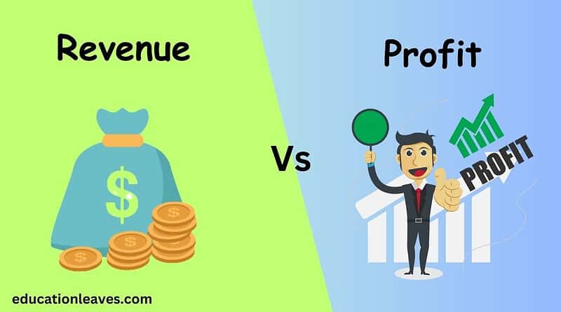 revenue vs profit