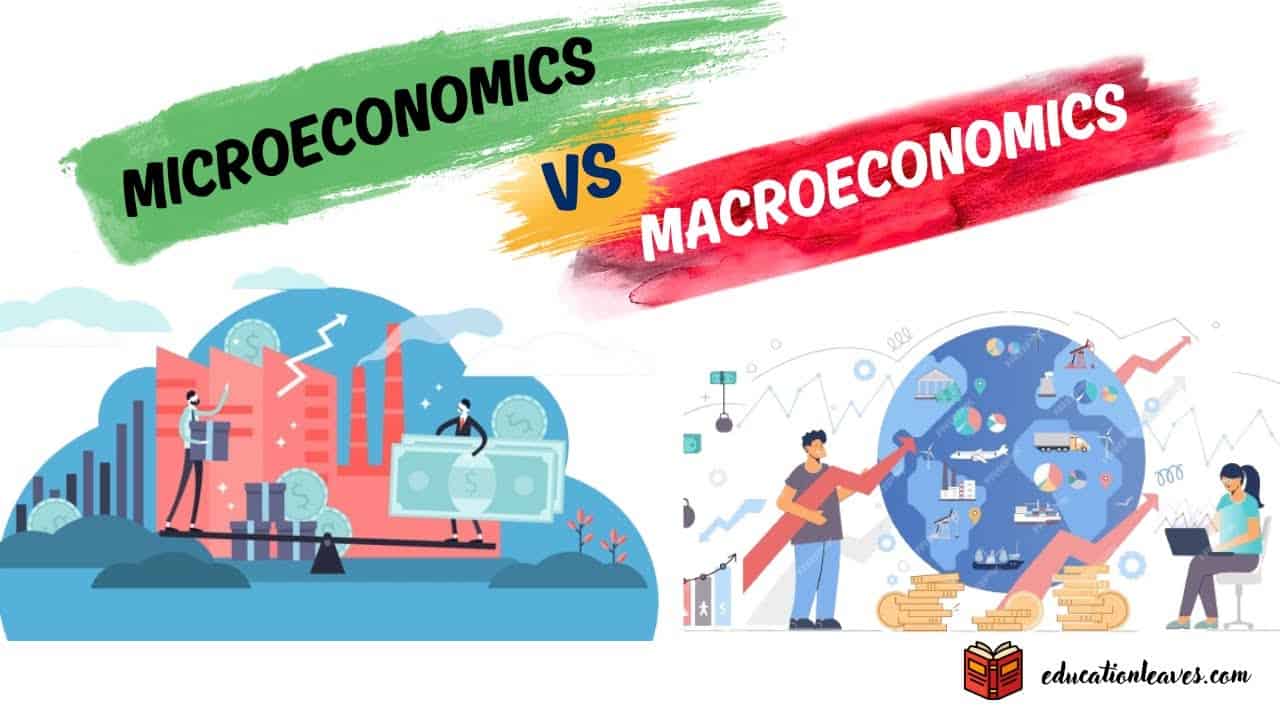 Microeconomics versus macroeconomics comparison illustration, education leaves.