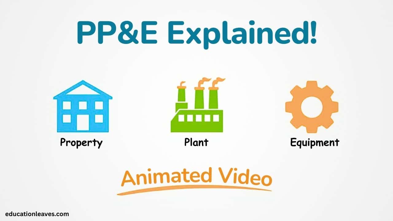 Property, Plant, and Equipment (PP&E)