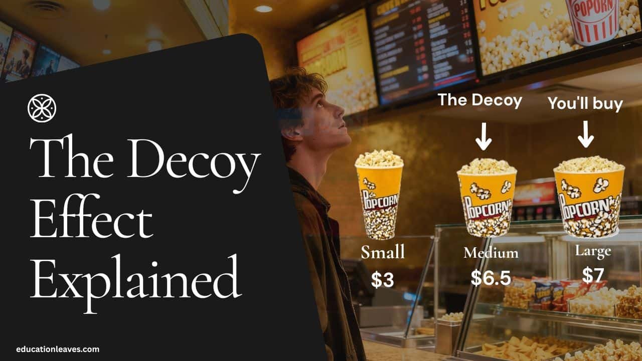 decoy effect